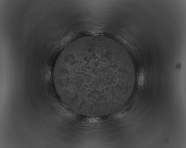 X0000091650618200708301420