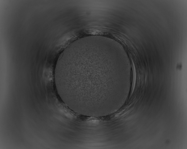 X0000091650620200708301420