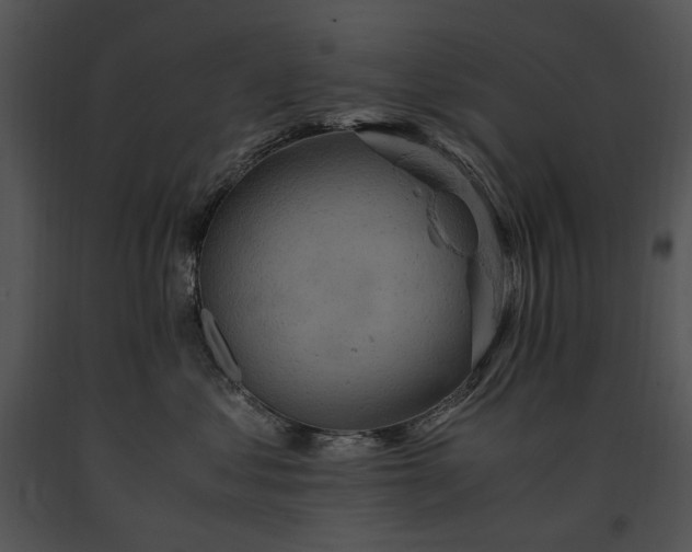 X0000091650621200708301420