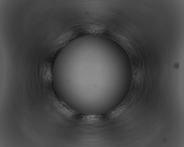X0000091650622200708301420