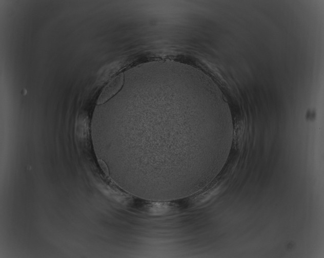 X0000091650623200708301420
