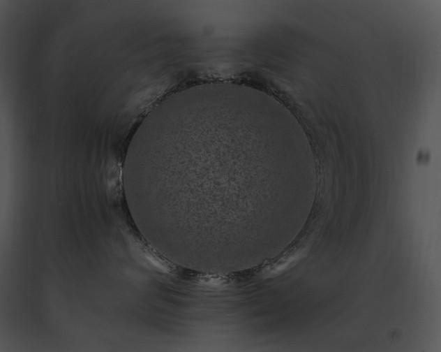 X0000091650624200708301420