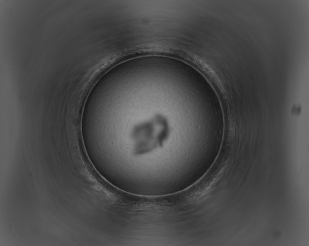 X0000091650625200708301419