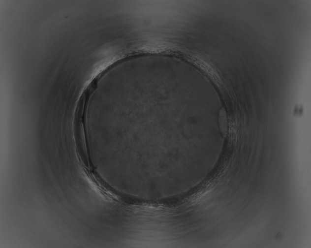 X0000091650626200708301419