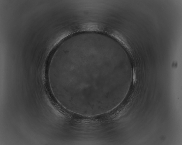 X0000091650627200708301419