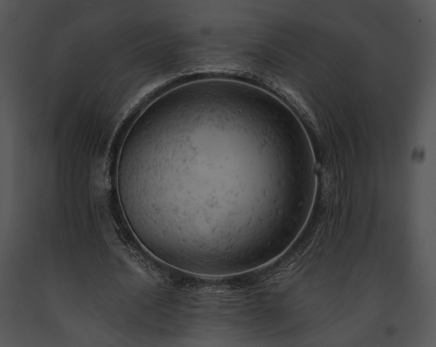 X0000091650628200708301419