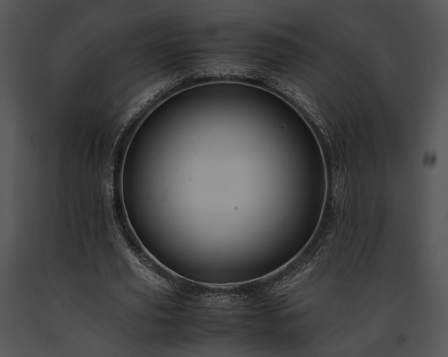 X0000091650629200708301419