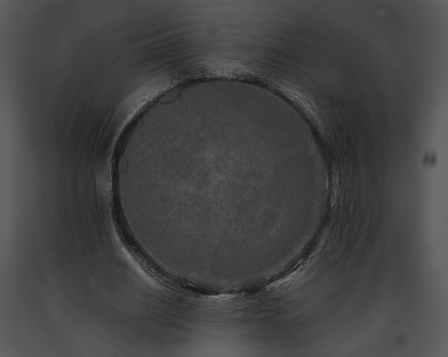 X0000091650630200708301419
