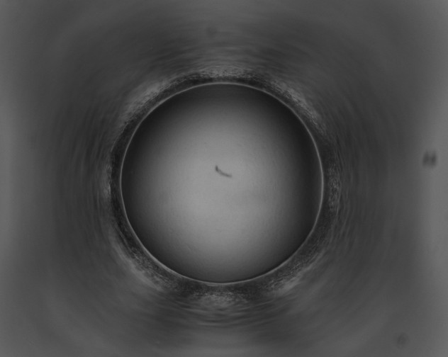 X0000091650631200708301419