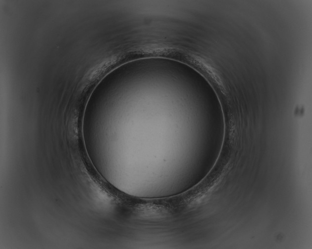 X0000091650633200708301419