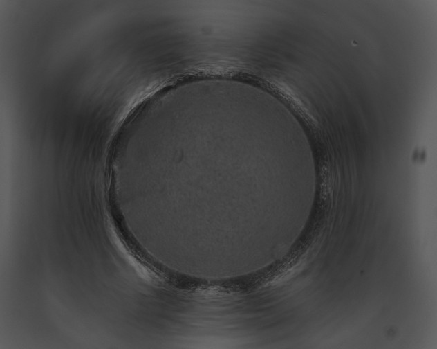 X0000091650634200708301419