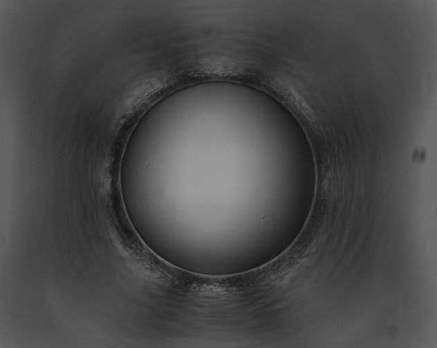 X0000091650635200708301419