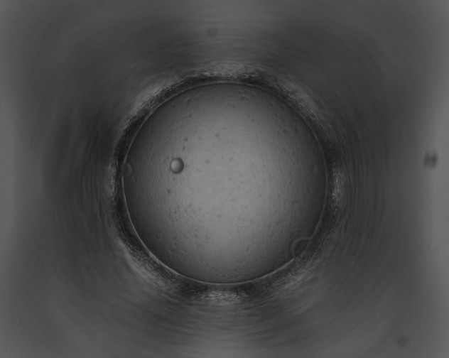 X0000091650636200708301419