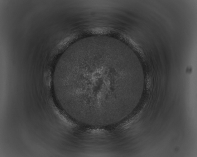 X0000091650637200708301419