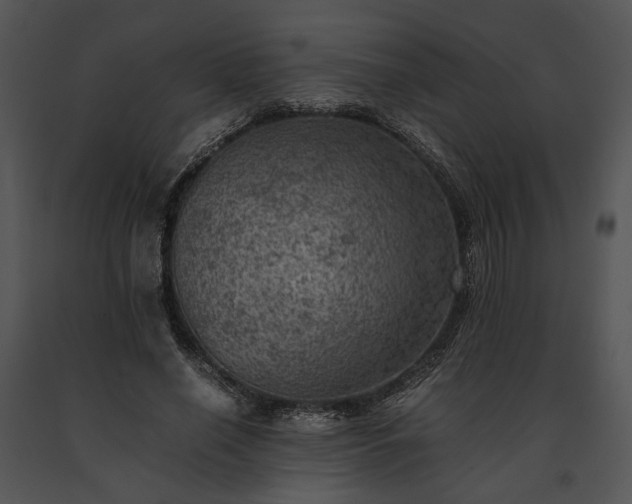 X0000091650638200708301419