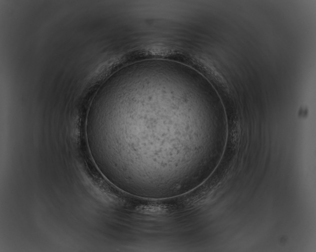 X0000091650639200708301419