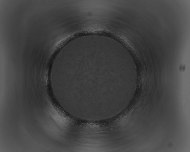 X0000091650640200708301419