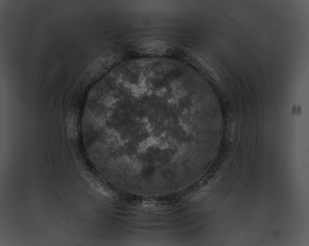 X0000091650641200708301419