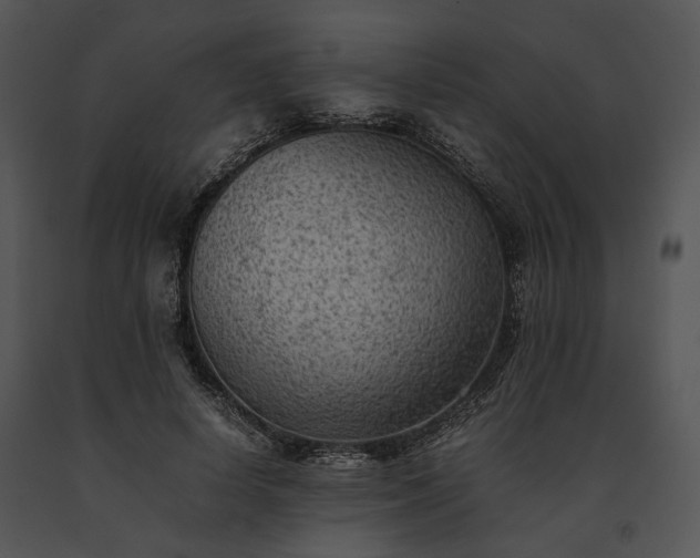 X0000091650642200708301419