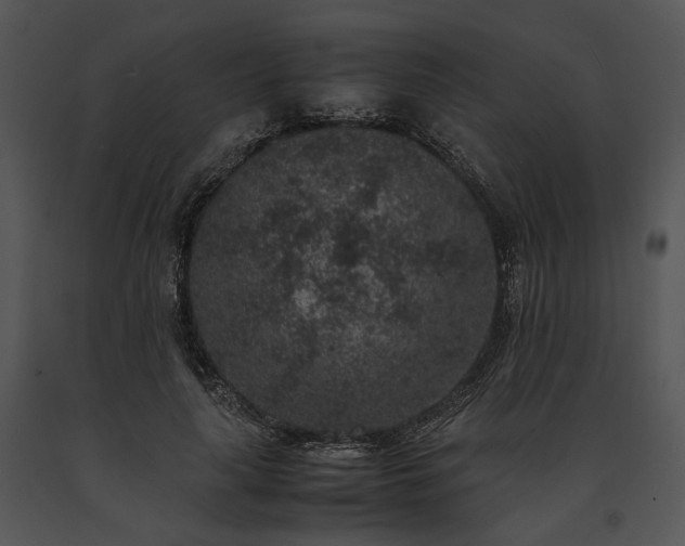 X0000091650643200708301419
