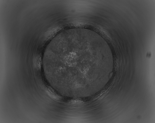 X0000091650644200708301419