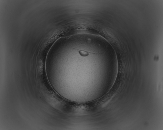 X0000091650646200708301419
