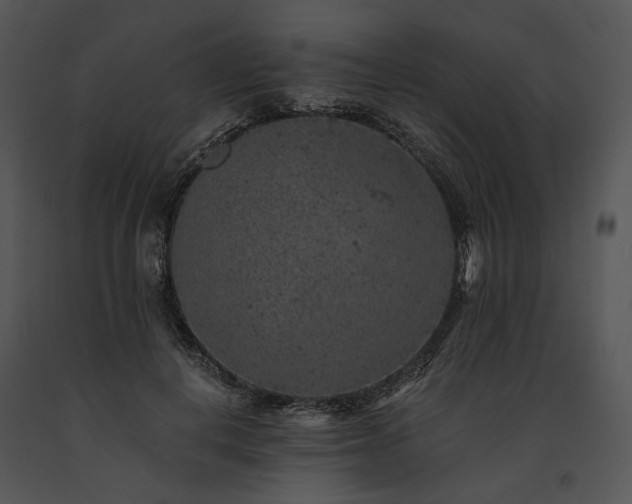 X0000091650648200708301419