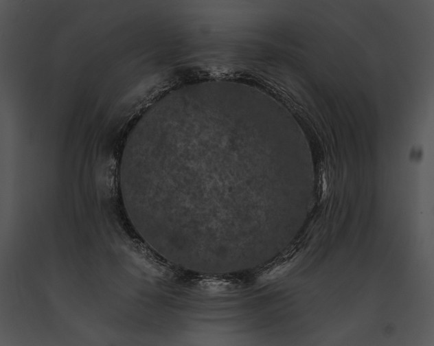 X0000091650650200708301419