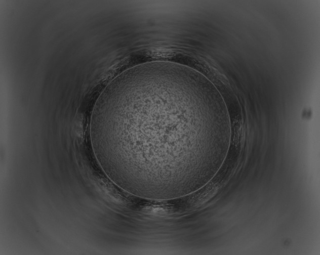 X0000091650655200708301419
