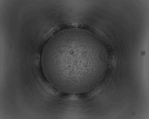 X0000091650656200708301419