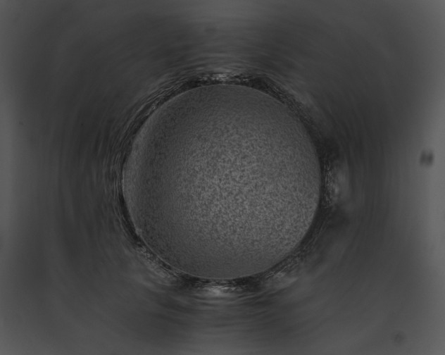 X0000091650657200708301419