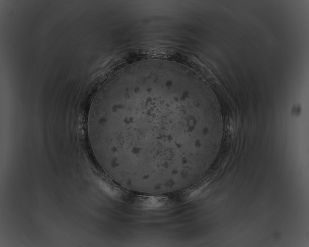 X0000091650663200708301419