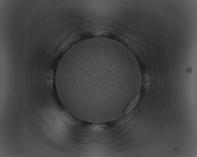X0000091650664200708301419