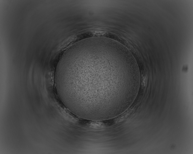 X0000091650666200708301419