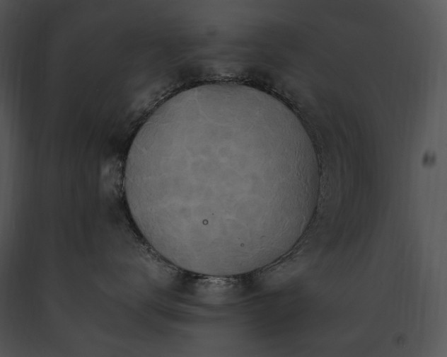 X0000091650672200708301420