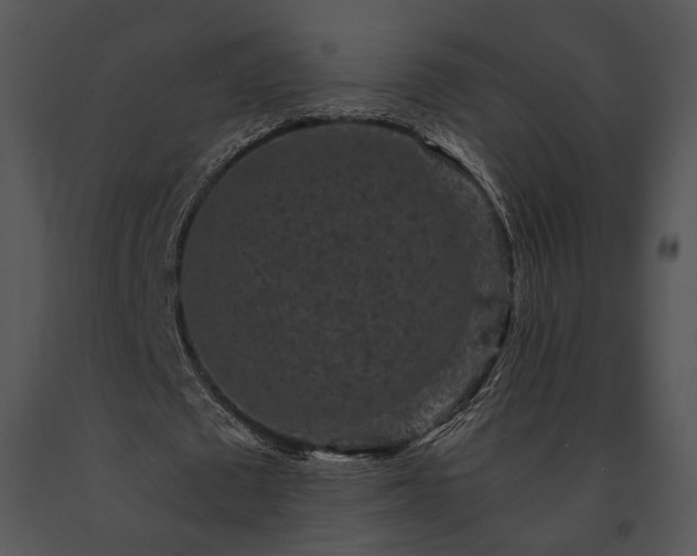 X0000091650673200708301419