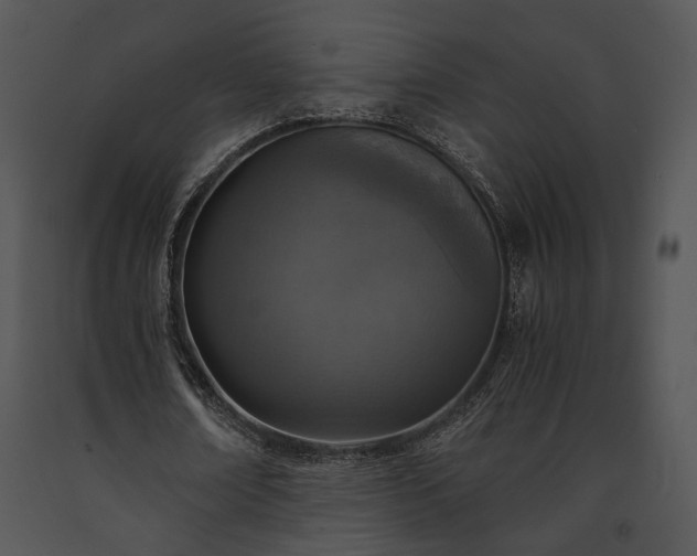 X0000091650674200708301419