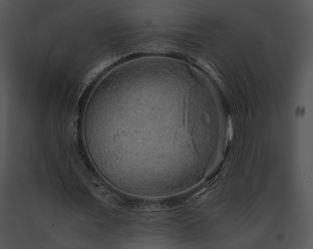 X0000091650675200708301419