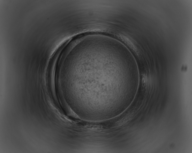 X0000091650676200708301419