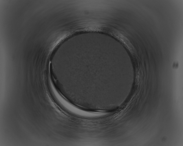 X0000091650677200708301419