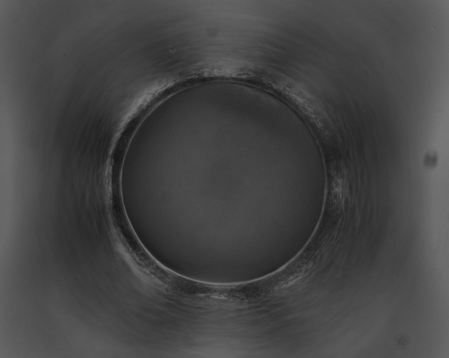 X0000091650678200708301419