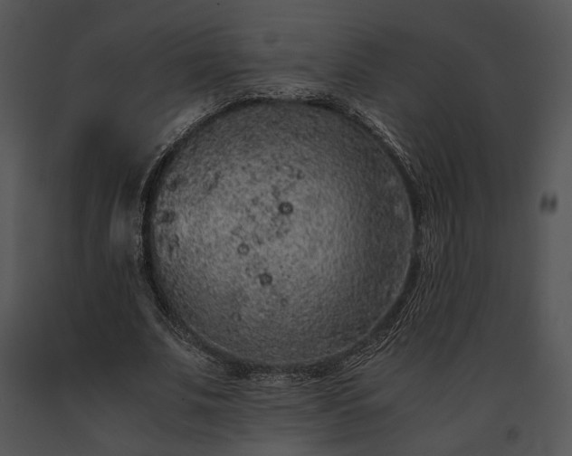 X0000091650679200708301419