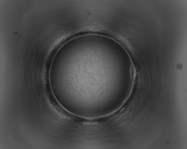 X0000091650680200708301419
