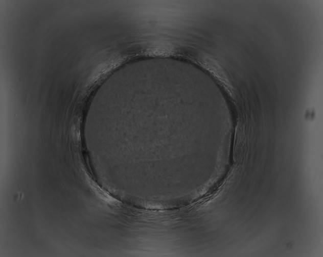 X0000091650681200708301419
