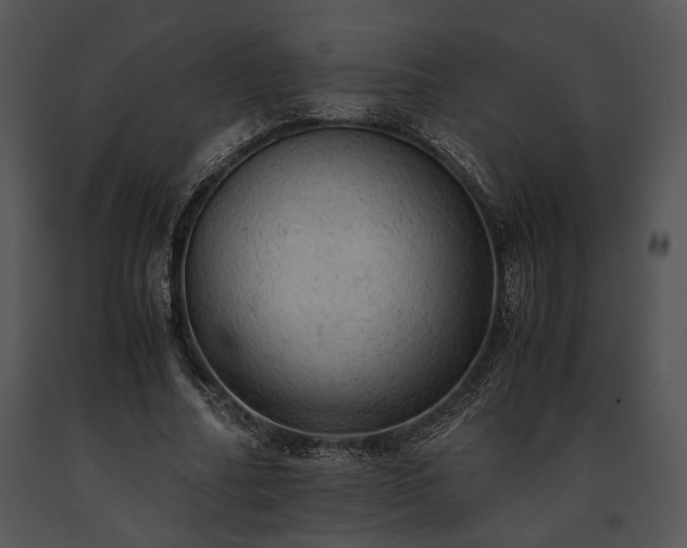 X0000091650682200708301419