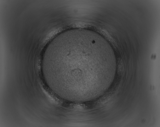 X0000091650683200708301419