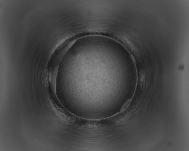 X0000091650684200708301419