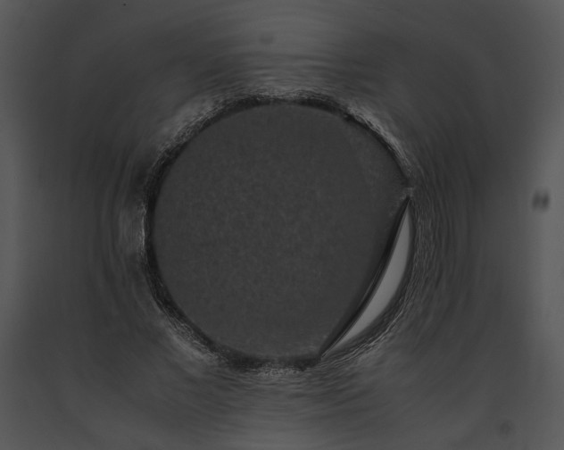X0000091650685200708301419