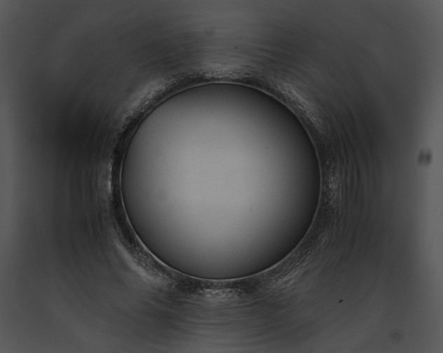 X0000091650686200708301419