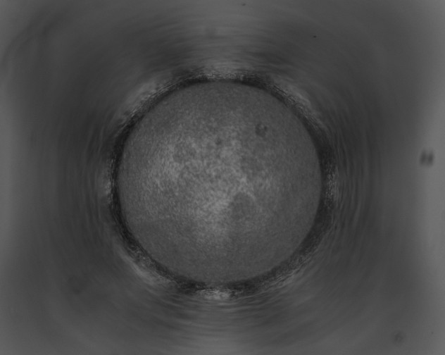 X0000091650687200708301419